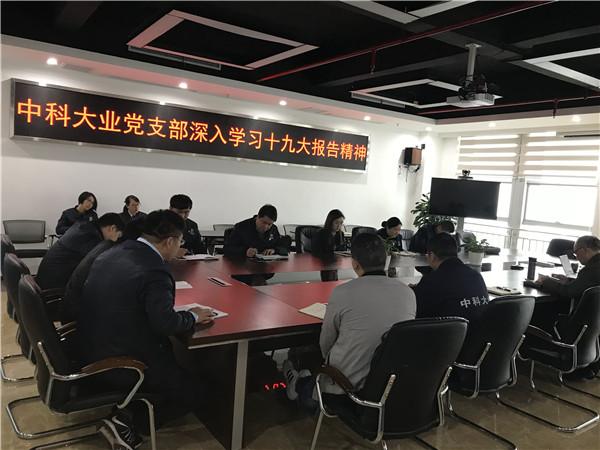 深入學(xué)習十九大報告精神